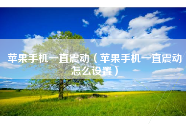 苹果手机一直震动(苹果手机一直震动怎么设置)