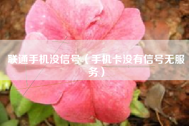 联通手机没信号(手机卡没有信号无服务)