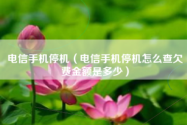 电信手机停机(电信手机停机怎么查欠费金额是多少)