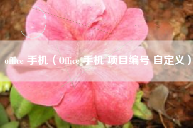 office 手机(Office 手机 项目编号 自定义)