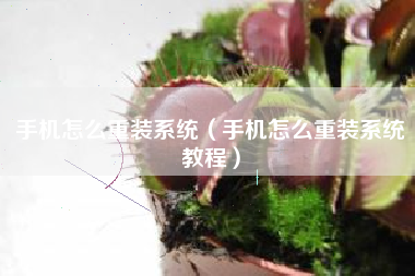 手机怎么重装系统(手机怎么重装系统教程)